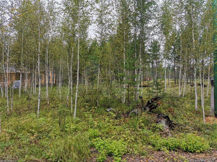 Участок 12,3 сот. (СНТ, ДНП)