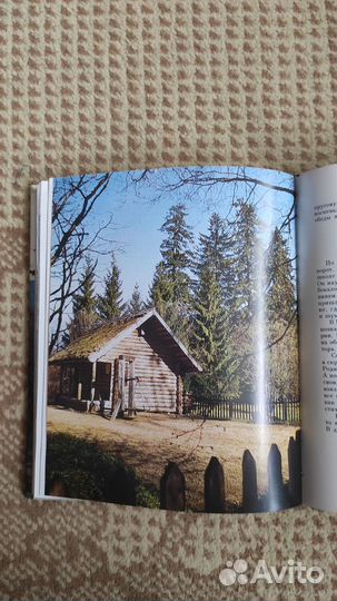 Завет внуку - Семён Гейченко