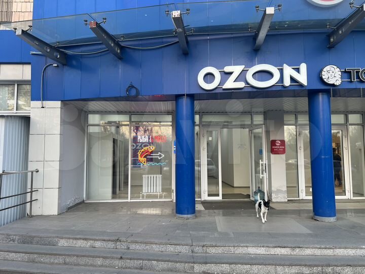 Помещение дверь в дверь с пятёрочкой, 75 м²