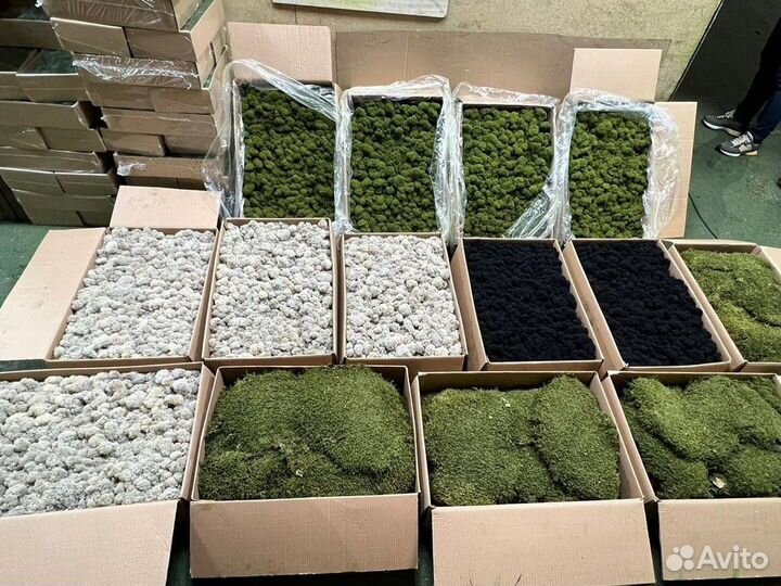 Стабилизированный мох ягель, кочка, пластовой