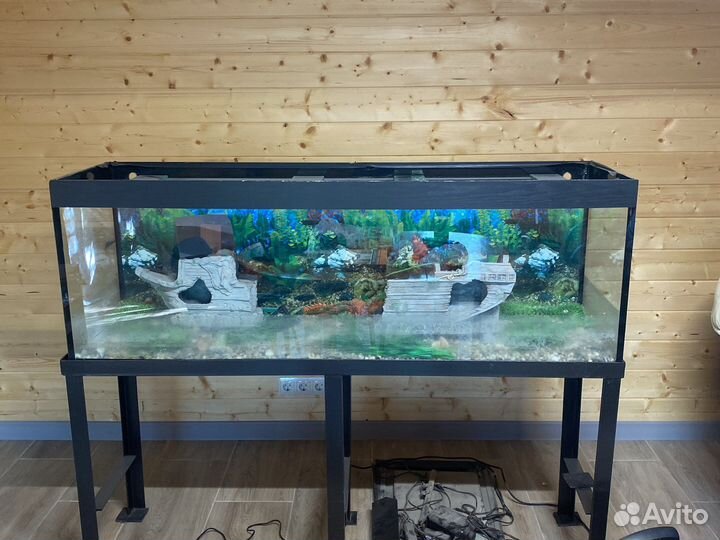 Аквариум