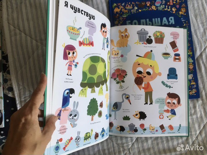 Большая викторина. Развивающие книги