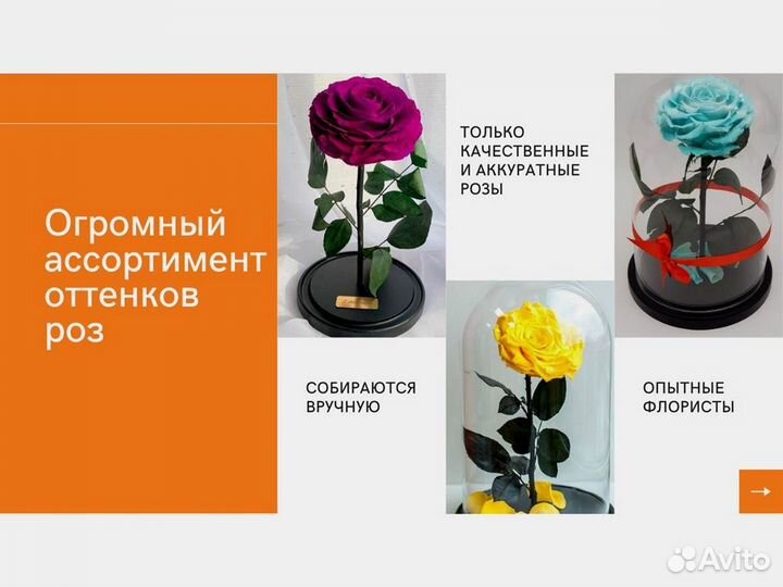 Роза в колбе. Новая