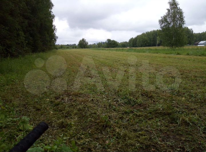 Участок 36,6 сот. (ИЖС)