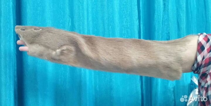 Мех куски шкуры натуральные рукоделие печворк