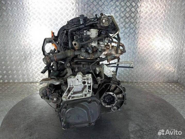 Двигатель Volkswagen Golf 4 2006 BGU
