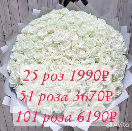 101 Роза цветы доставка 25 51 101 Розы