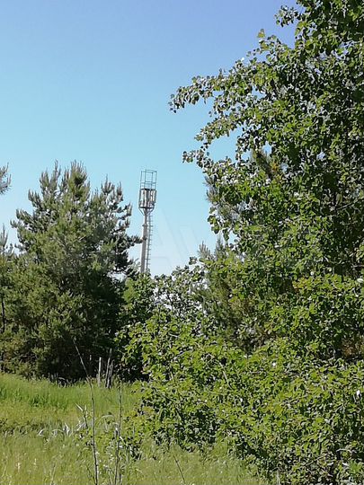 Участок 88 сот. (СНТ, ДНП)