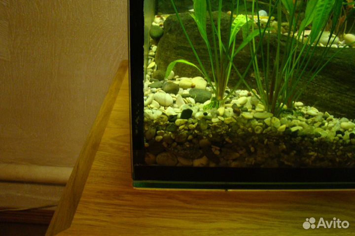 Грунт и камни в аквариум