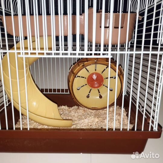 Клетка переноска для джунгарика