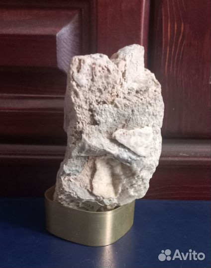 Камни и минералы.окаменелости