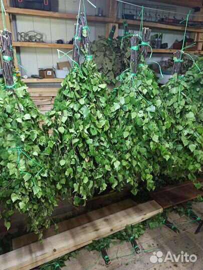 Дубовые веники для бани (+берёза)