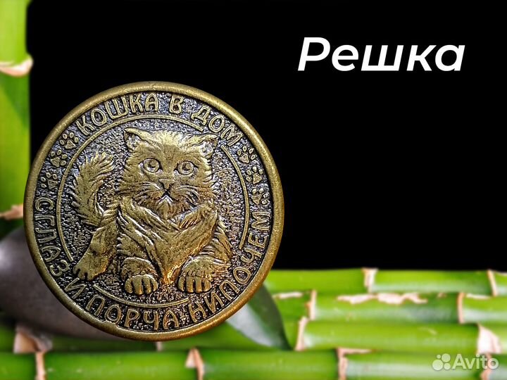 Монета талисман на деньги и удачу. 1 котейка