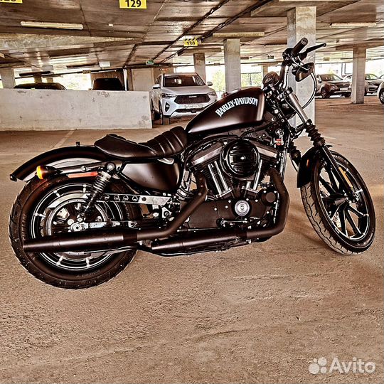 Продам Harley davidson 883 iron