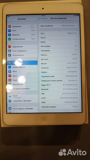 iPad mini cellular(sim)