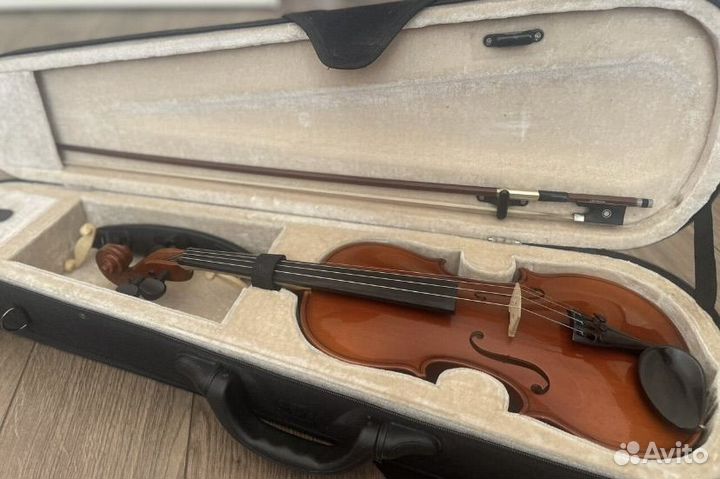 Скипка чешская, 3/4