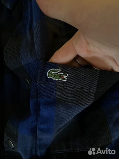 Рубашка мужская lacoste