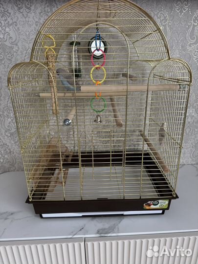 Волнистый попугай с клеткой