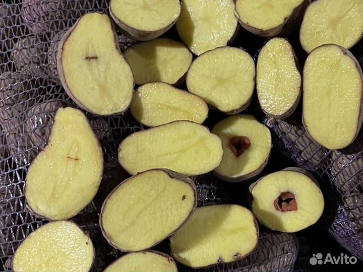 Картофель Оптом Лабелла 5+ 2 сорт Нижний Новгород