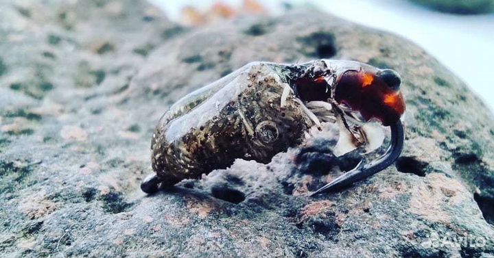 Нимфы, стримеры для ловли форели, ленка, хариуса