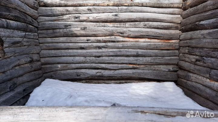 Дрова cpуб 2021 года рубки