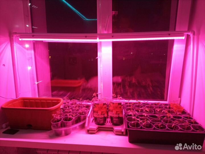 Фитолампа на подставке