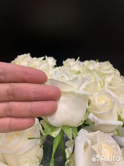 Розы Оптом и штучно