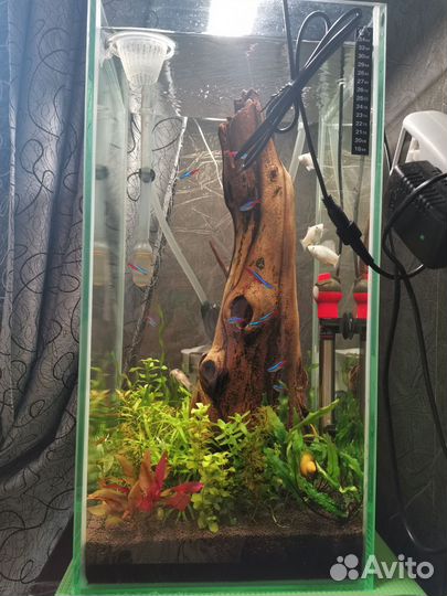 Коряга в аквариум
