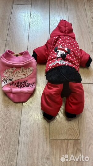 Одежда для собачек, намордник, ошейник, поводки