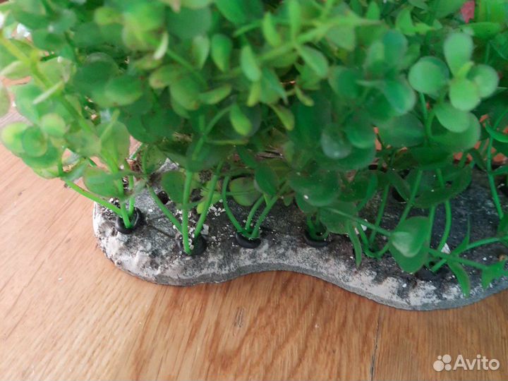 Искуственные водоросли для аквариума