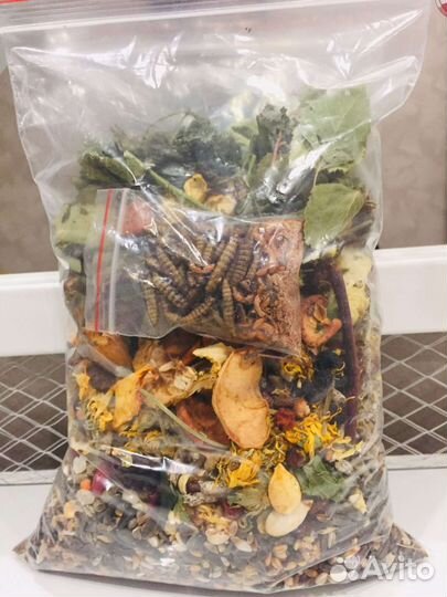 Корм для декоративных крыс и сирийских хомяков