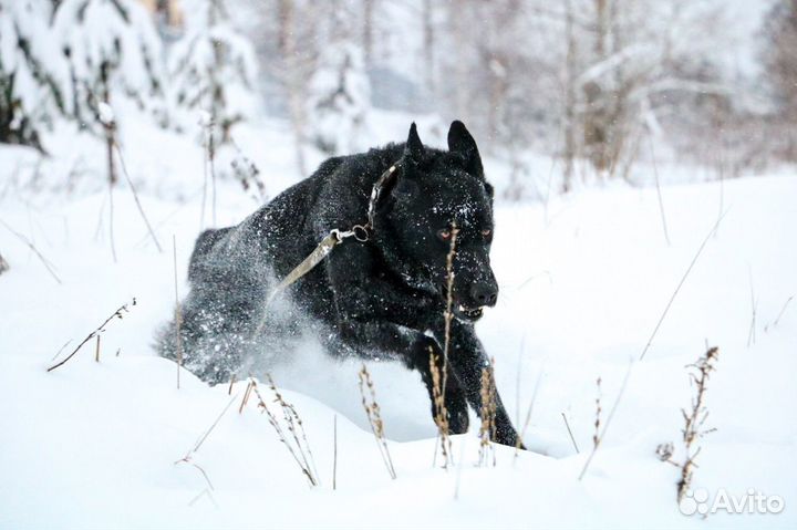Начинающий фотограф