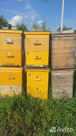 Ульи для пчел