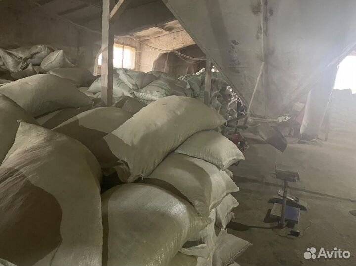 Зерносмесь для свиней гранулированная с доставкой