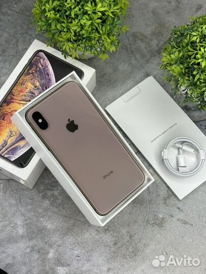 iPhone Xs Max, 64 ГБ
