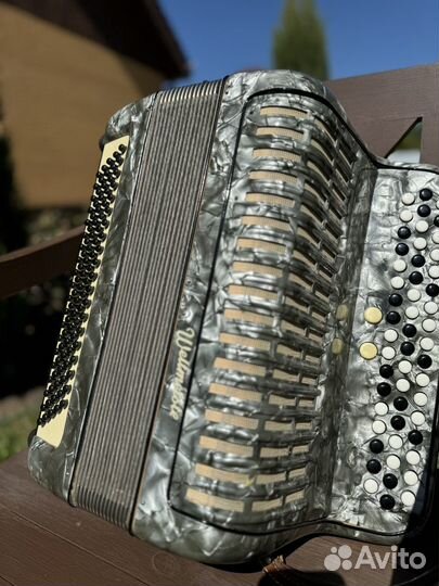 Баян weltmeister