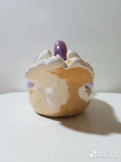 Уточка Кузнецова Редкая