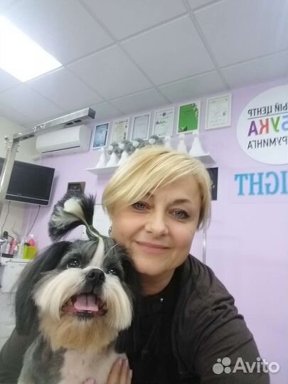 Стрижка собак
