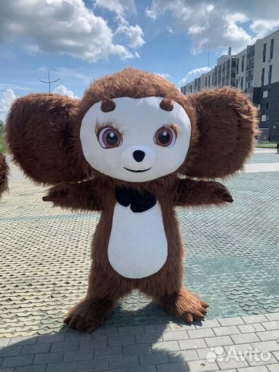 Незабываемые эмоции с Мишкой, Пандой и Чебурашкой