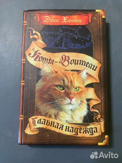 Эрин Хантер Коты воители Главная надежда