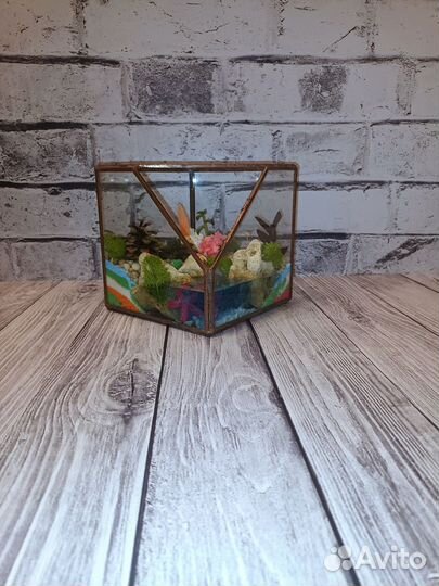 Флорариум, подарок, цветы
