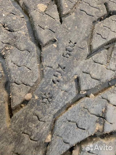 Nokian Tyres Hakkapeliitta LT3 285/75 R16 122Q