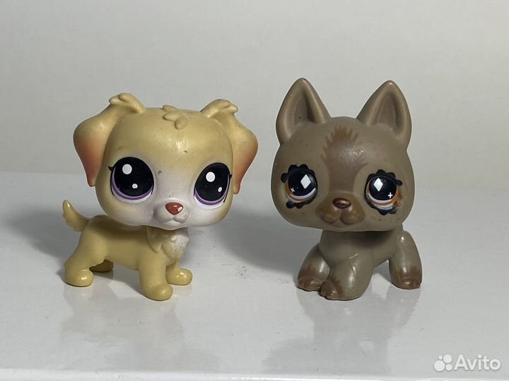 Littlest Pet Shop