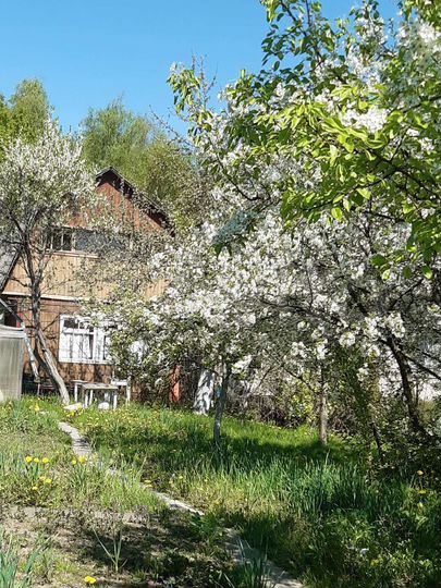 Участок 6 сот. (СНТ, ДНП)