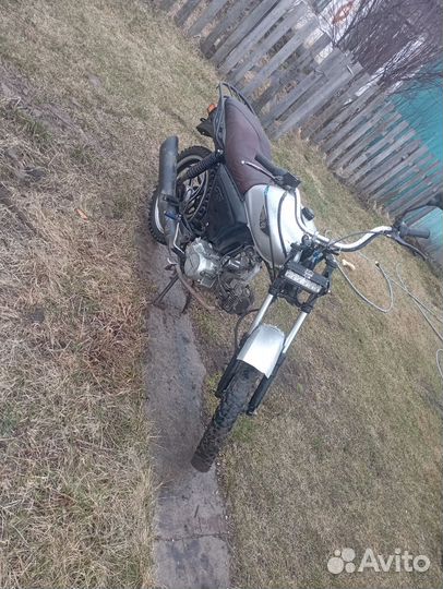 Продам альфу