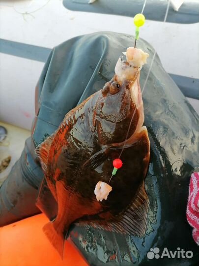 Снасть на камбалу с 6 утра