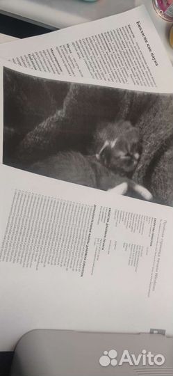 Принтер лазерный ч/б