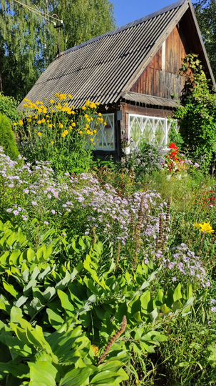 Дача 20 м² на участке 6 сот.