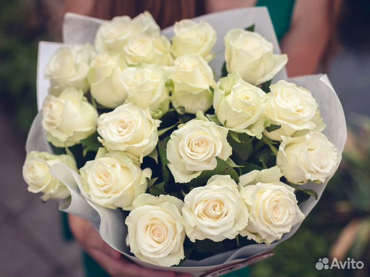Розы белые Розы свежие