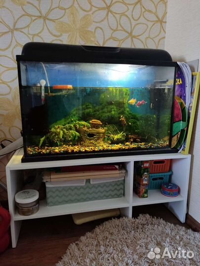 Аквариум